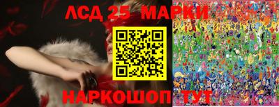 гидропоника Сланцы