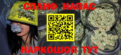 гидропоника Сланцы
