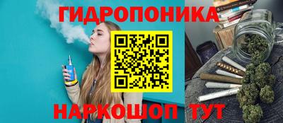 PSILOCYBIN Славгород
