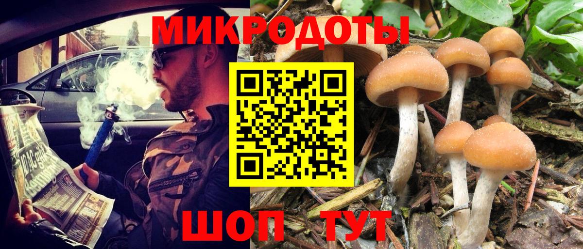 Галлюциногенные грибы прущие грибы Мытищи