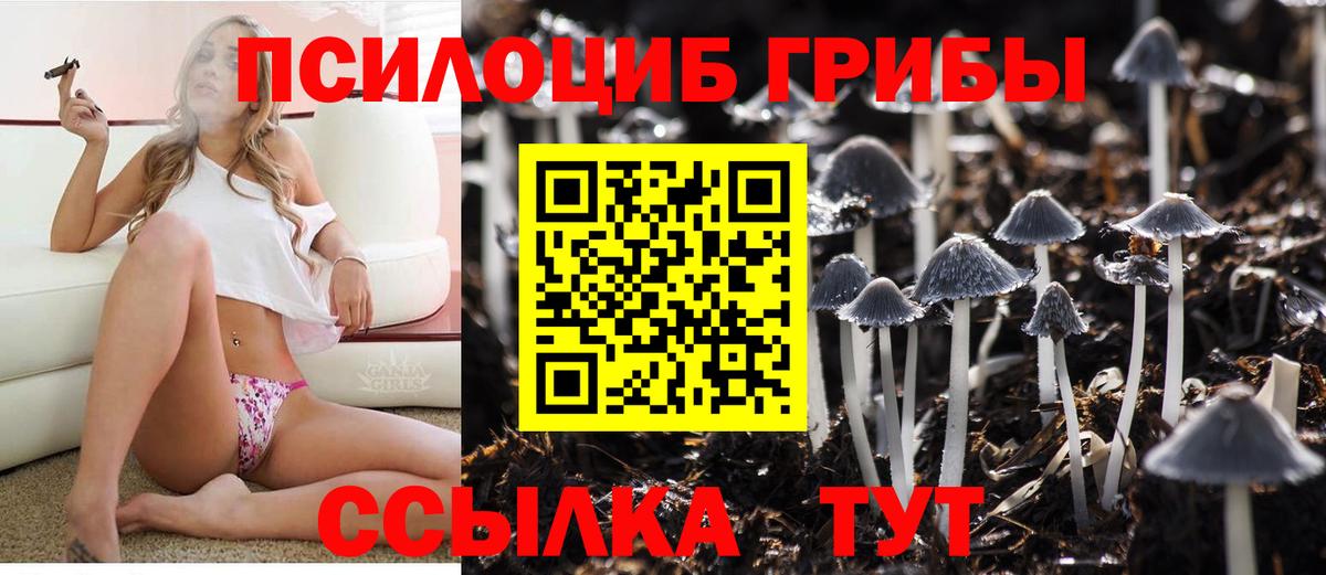 Галлюциногенные грибы Magic Shrooms  Вход с VPN  Псилоцибиновые грибы Psilocybine cubensis  Мытищи 